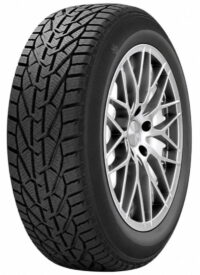 Riken Snow 195/55 R16 87H